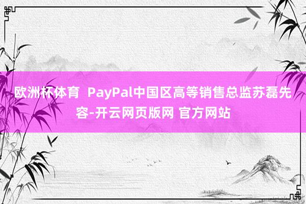 欧洲杯体育  PayPal中国区高等销售总监苏磊先容-开云网页版网 官方网站