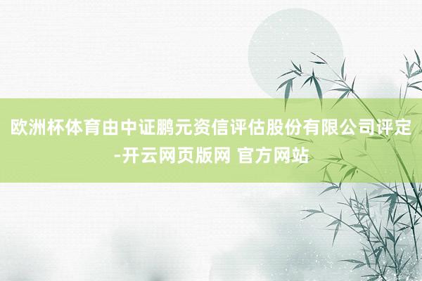 欧洲杯体育由中证鹏元资信评估股份有限公司评定-开云网页版网 官方网站