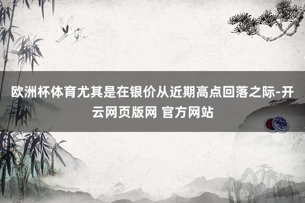 欧洲杯体育尤其是在银价从近期高点回落之际-开云网页版网 官方网站