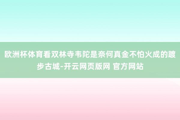 欧洲杯体育看双林寺韦陀是奈何真金不怕火成的踱步古城-开云网页版网 官方网站